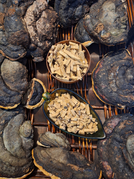 Polypore boréal sacré