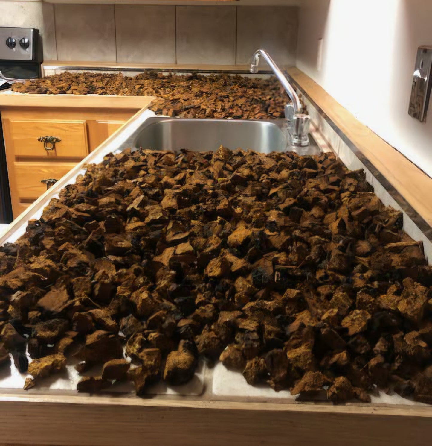Chaga Sauvage Boréal morceaux 50 g